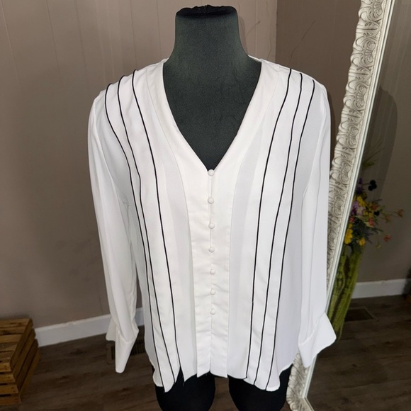 Zara • Long Sleeve Sheer Striped V-Neck Blouse - Picture 8 of 11